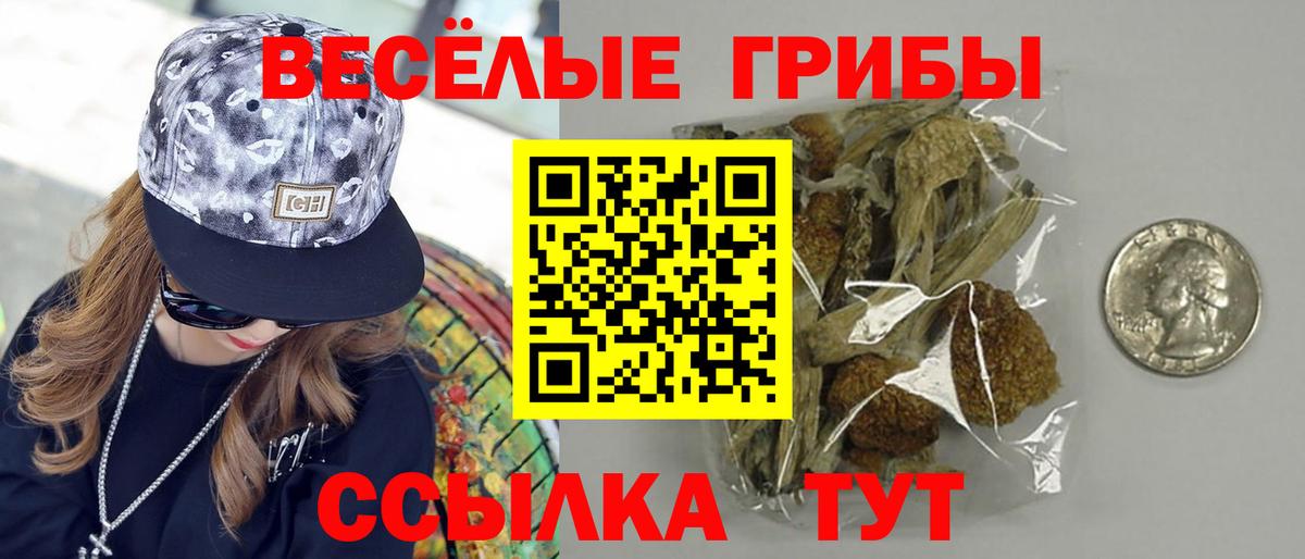 где найти наркотики  Псилоцибиновые грибы Magic Shrooms  Вход с VPN  Котлас 